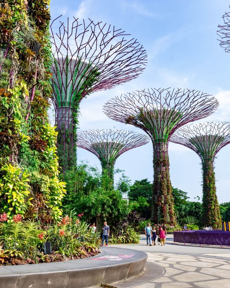 Gardens By The Bay Tickets, Singapore