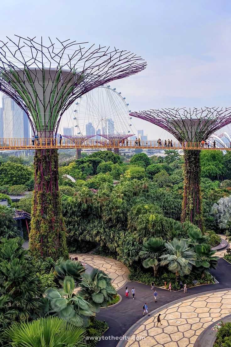 Gardens By The Bay Tickets, Singapore